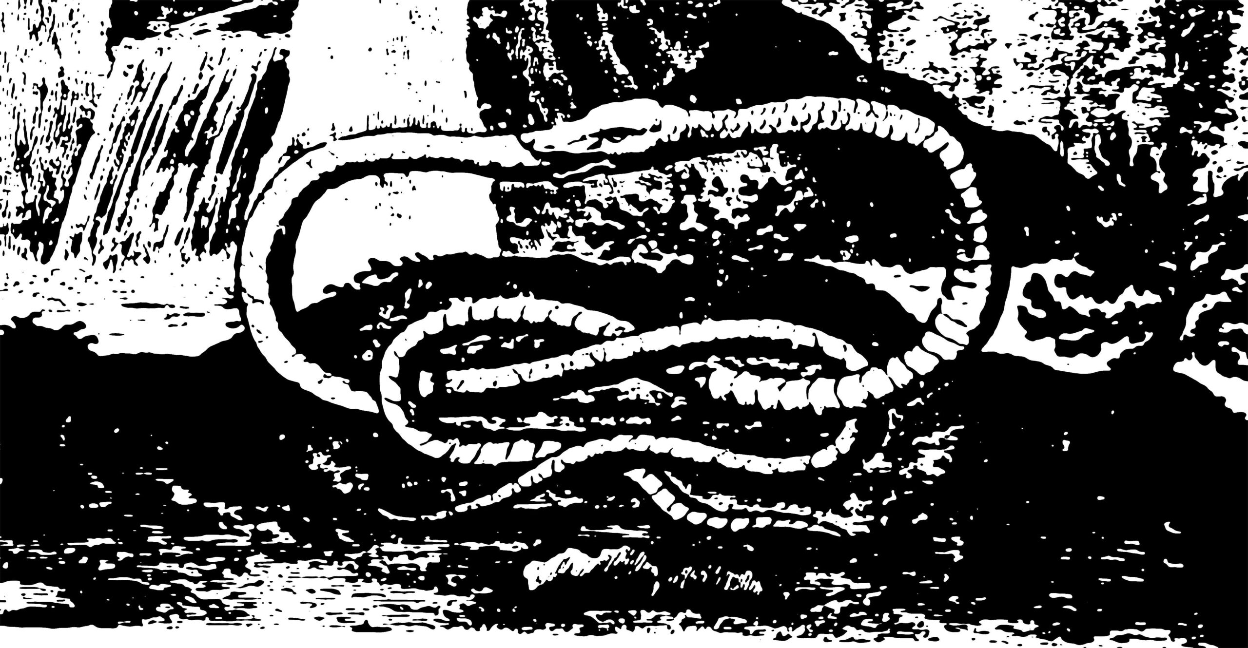 In conversation: David Cain + Kieran Wong