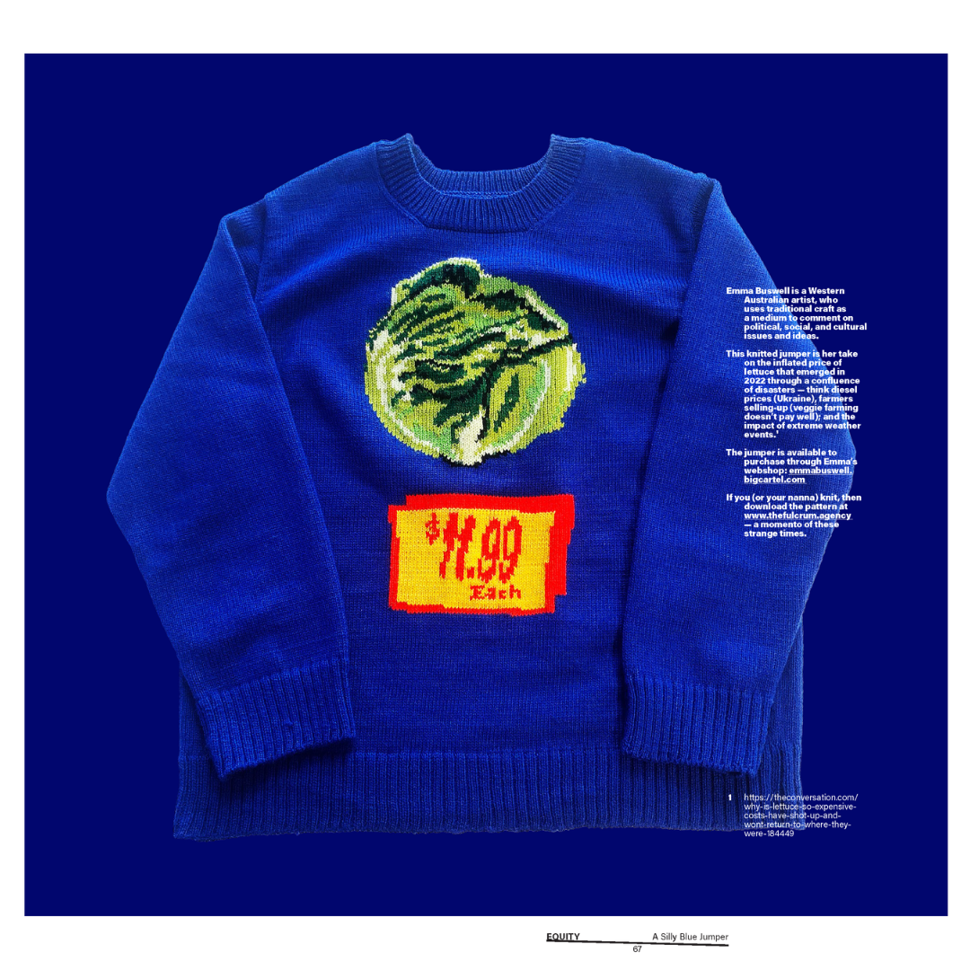 A Story about a Silly Blue Jumper