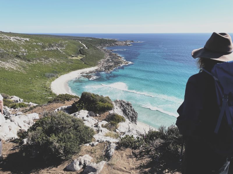 Our Response to the Referendum