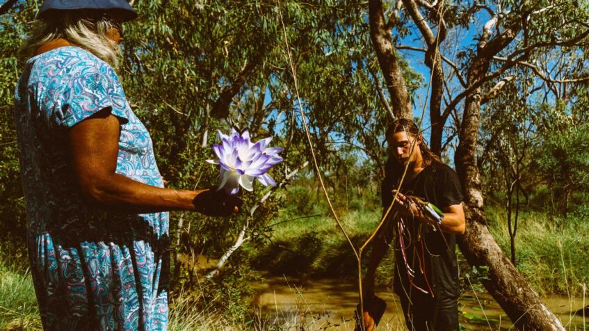 Photo by Todd Delfs, LVF Visuals