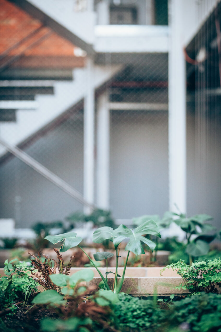The courtyard is a semi-public space, providing shade, greenery and a place for residents to meet and children to play.